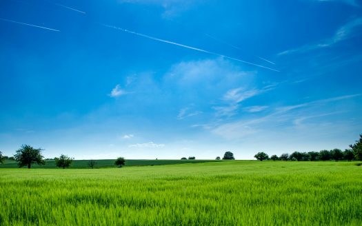 3,000 acres of Land for sale at Dawenya
