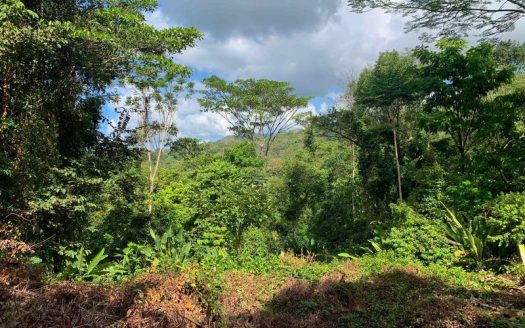 2 acres Land for sale at Cantonment.