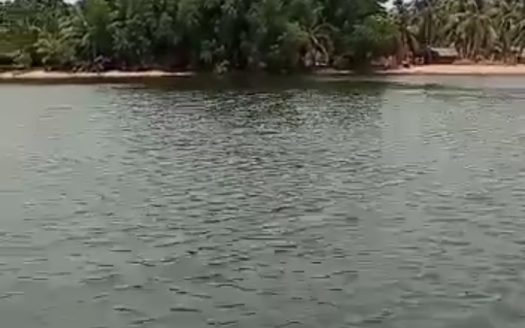 River Front Land and an Island for sale
